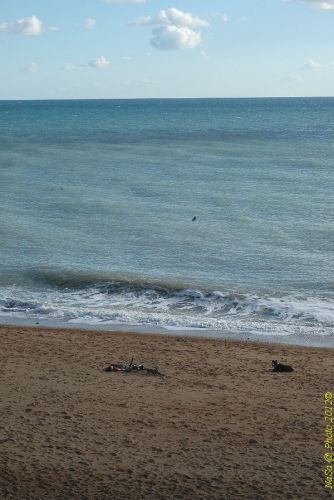 dsc_0538.jpg