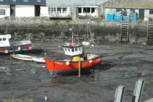 dsc_0672.jpg