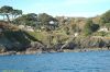 dsc_0733.jpg