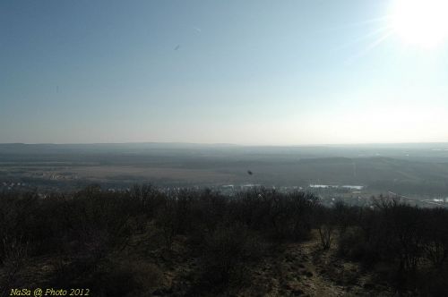 DSC_8991.JPG