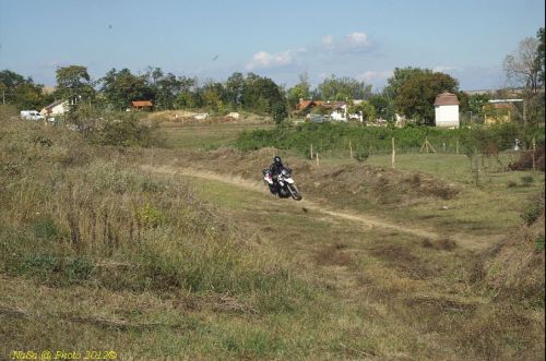 dsc_0383.jpg