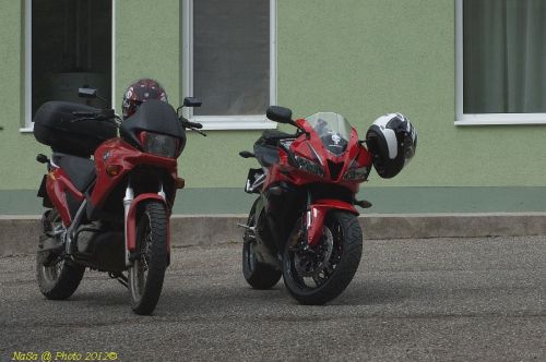 DSC_9392.jpg