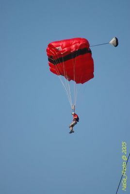 DSC_1447.JPG