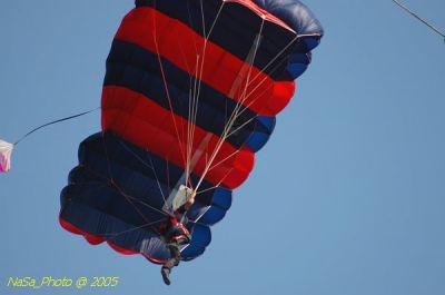 DSC_1540.JPG