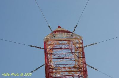 DSC_1556.JPG