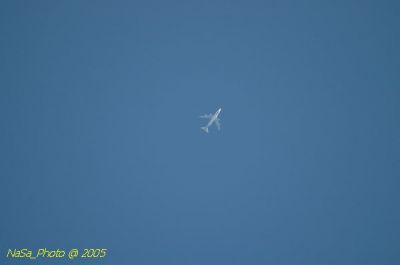 DSC_1584.JPG