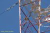 DSC_1759.JPG
