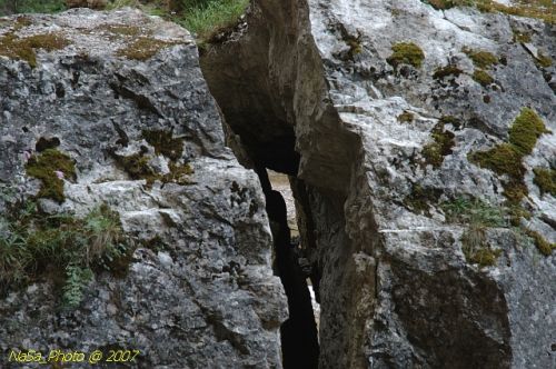 DSC_2914.jpg