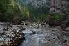 Filename=DSC_2915.jpg
Filesize=257KiB
Dimensions=640x425
Date added=Jul 25, 2007 DSC_2915.jpg
