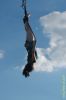 Filename=DSC_8344.jpg
Filesize=193KiB
Dimensions=425x640
Date added=Jul 18, 2006 DSC_8344.jpg