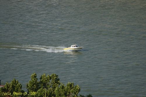 DSC_8631.jpg