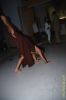 DSC_9713.jpg