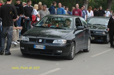 DSC_8381.JPG