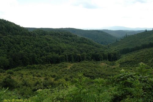 DSC_7815.JPG