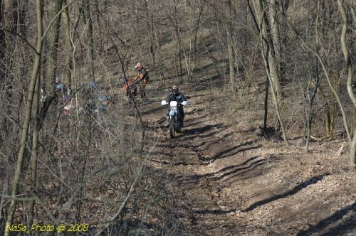 DSC_4811.jpg