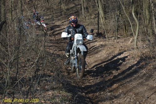DSC_4813.jpg