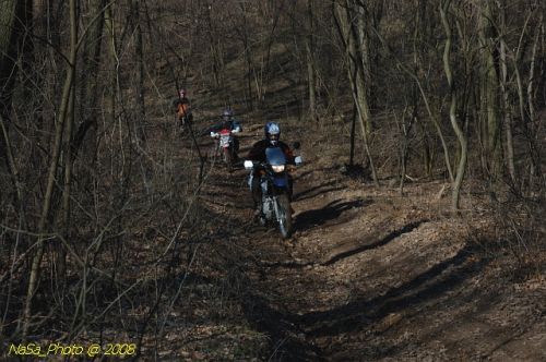 DSC_4815.jpg