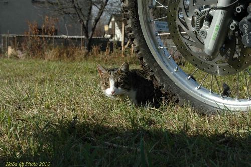 DSC_4815.JPG