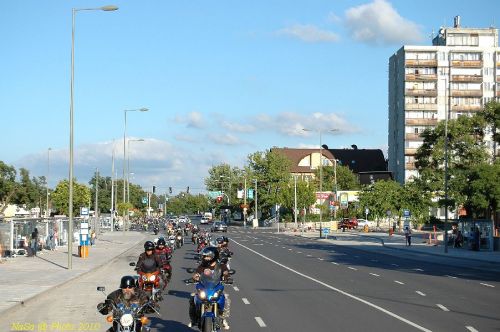 DSC_3393.JPG