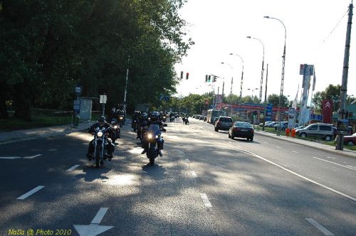 DSC_3481.JPG