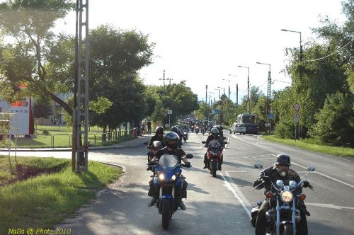 DSC_3530.JPG