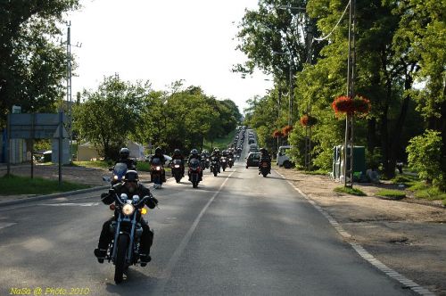 DSC_3556.JPG