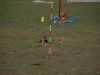 DSCN0114.JPG