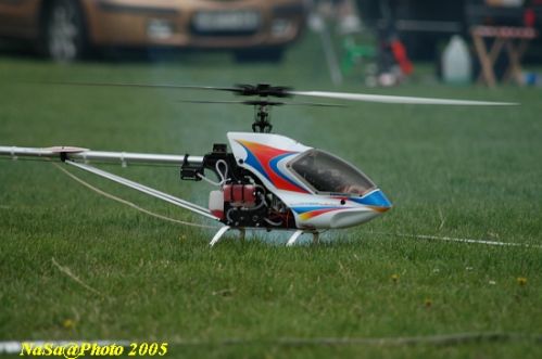 DSC_7865.JPG