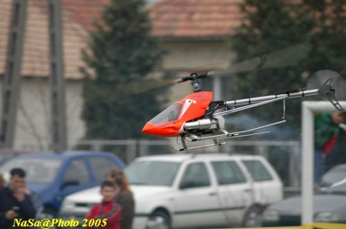 DSC_7880.JPG