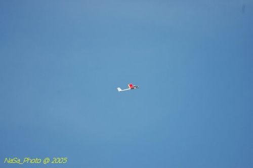 DSC_8795.JPG