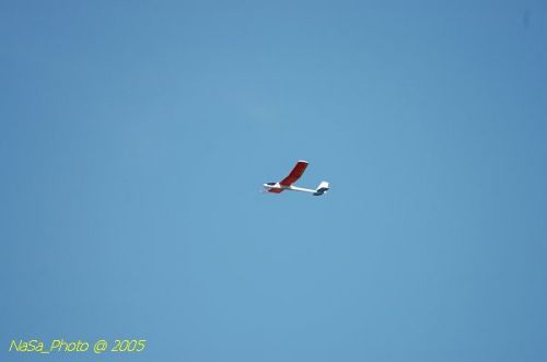 DSC_8798.JPG