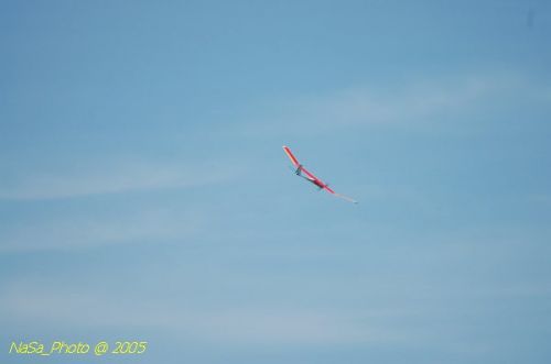 DSC_8802.JPG