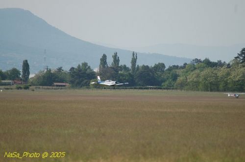 DSC_8804.JPG