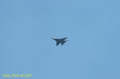 DSC_0974.JPG