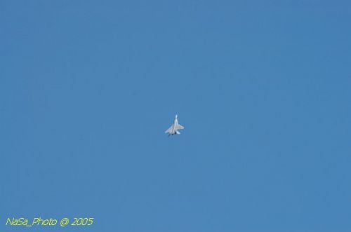 DSC_0983.JPG