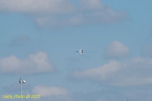 DSC_0987.JPG