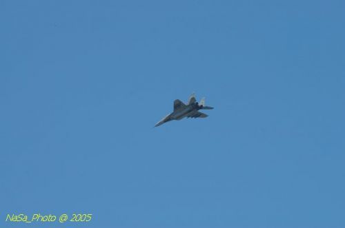 DSC_1003.JPG