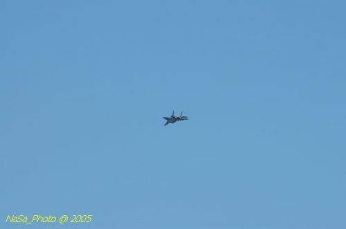 DSC_1013.JPG