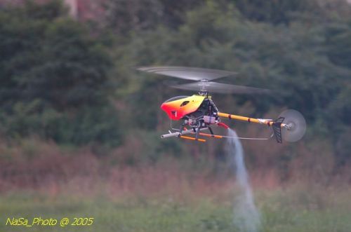 DSC_3264.JPG