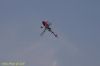 DSC_8452.jpg