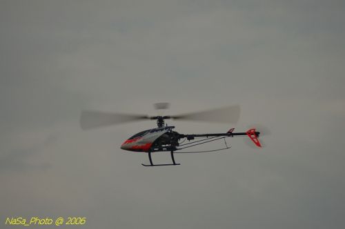 DSC_9977.jpg