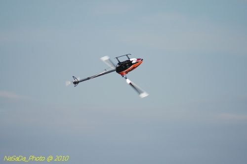 DSC_4297.JPG